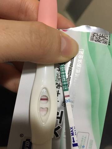 journal_insert_pic_623354409