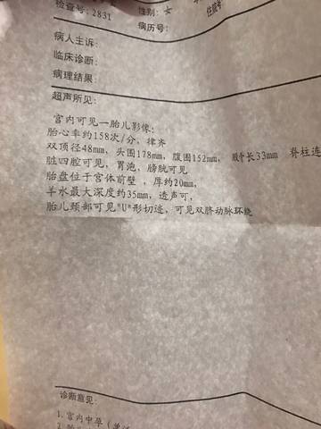 journal_insert_pic_623328917