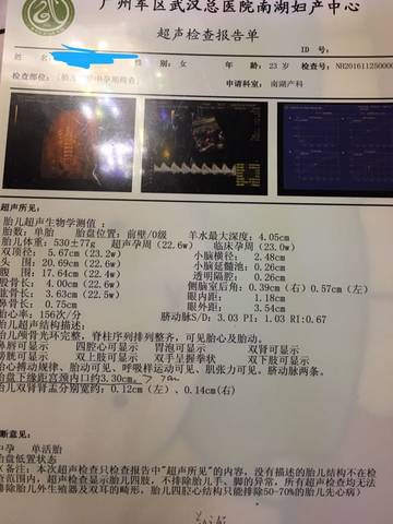 journal_insert_pic_623996840