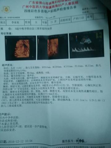 journal_insert_pic_624740058