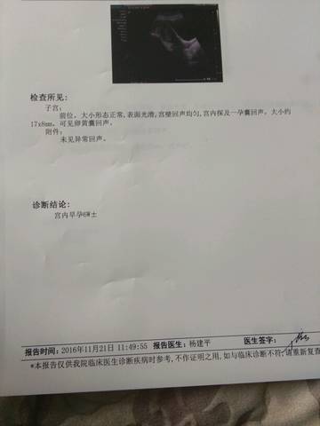 journal_insert_pic_625877495