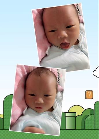 journal_insert_pic_626517744