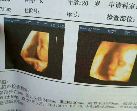 journal_insert_pic_627353112