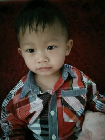 journal_insert_pic_628118390