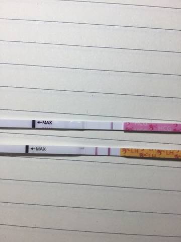 journal_insert_pic_630010373