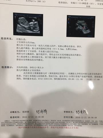 journal_insert_pic_630243675
