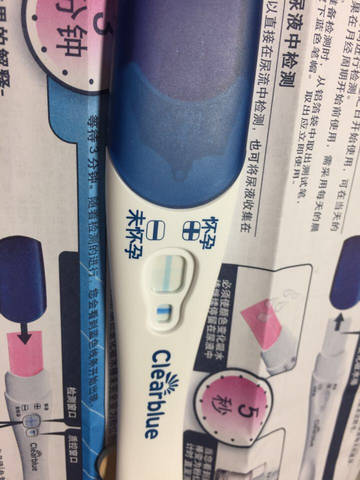 journal_insert_pic_630446151