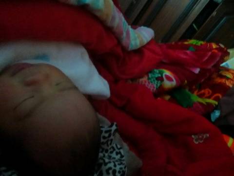 journal_insert_pic_630894887