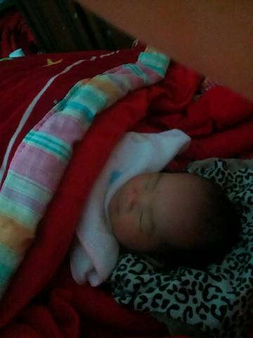 journal_insert_pic_630894746