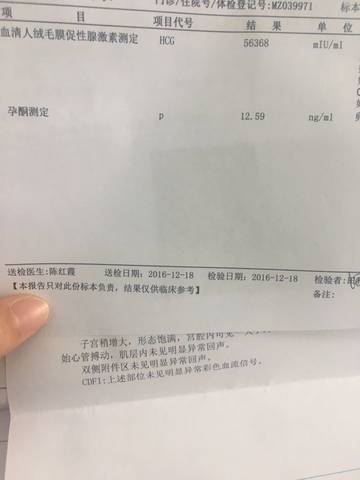 journal_insert_pic_631596264