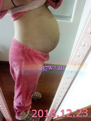 journal_insert_pic_631505887