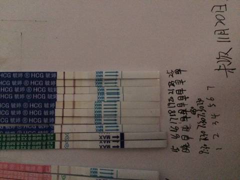 journal_insert_pic_632933812