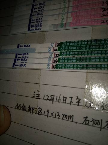 journal_insert_pic_633444001