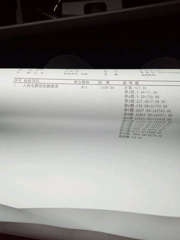 journal_insert_pic_633783054