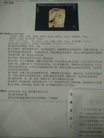 journal_insert_pic_635582717