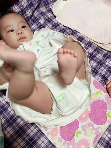 journal_insert_pic_635251177