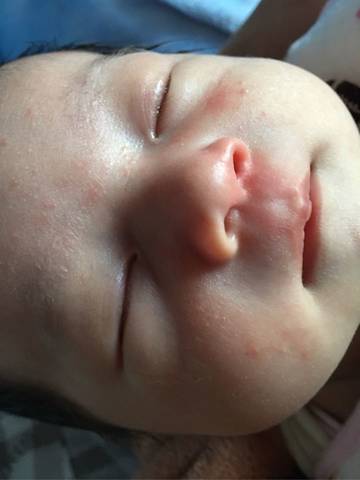 journal_insert_pic_635905065