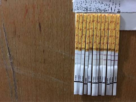 journal_insert_pic_639083392