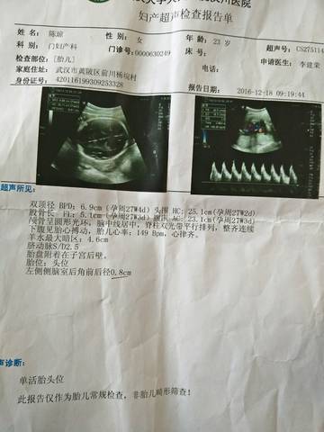 journal_insert_pic_639014841