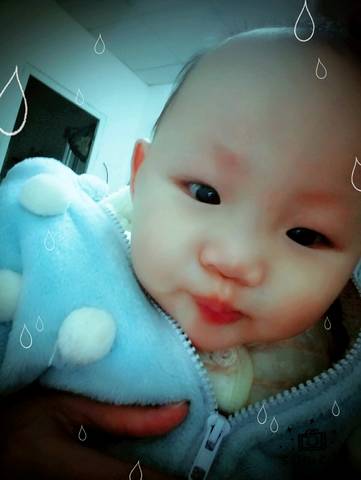journal_insert_pic_638809371