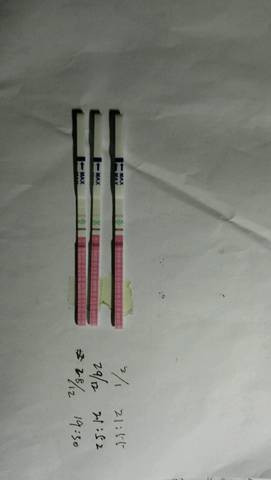 journal_insert_pic_639366914