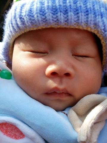 journal_insert_pic_640526634