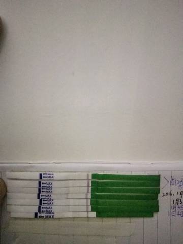 journal_insert_pic_640890813