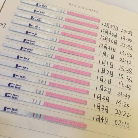 journal_insert_pic_640617628