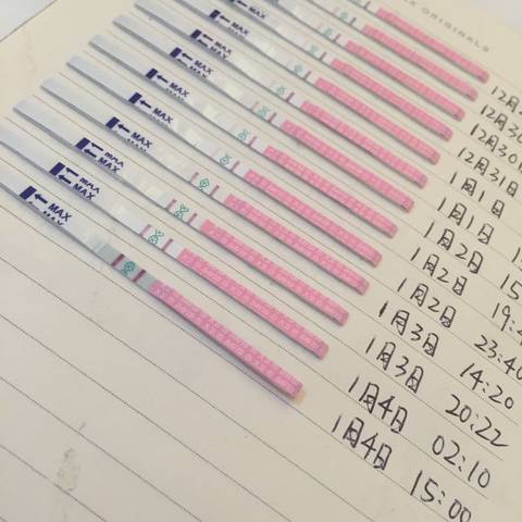 journal_insert_pic_640617642