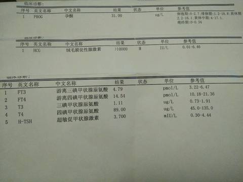 journal_insert_pic_640891173