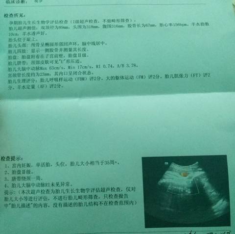 journal_insert_pic_641342525