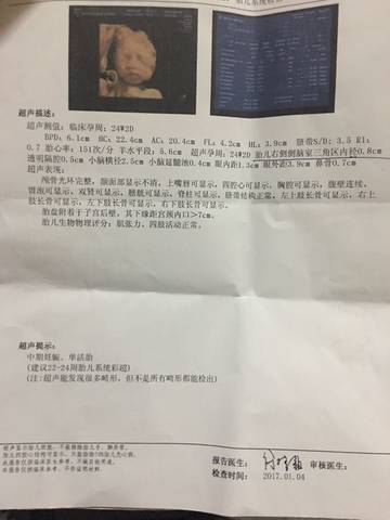 journal_insert_pic_642359683