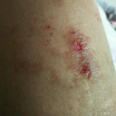 journal_insert_pic_641825349