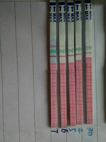 journal_insert_pic_642555626