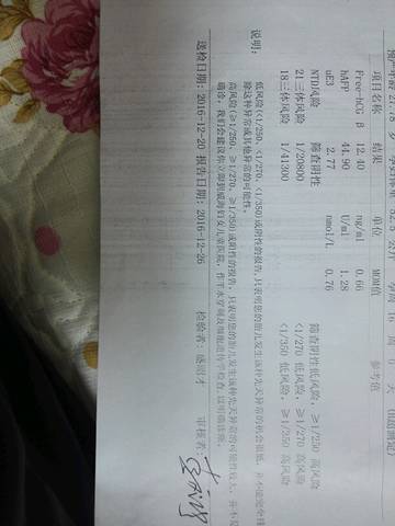 journal_insert_pic_642773324