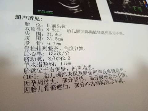 journal_insert_pic_645055684