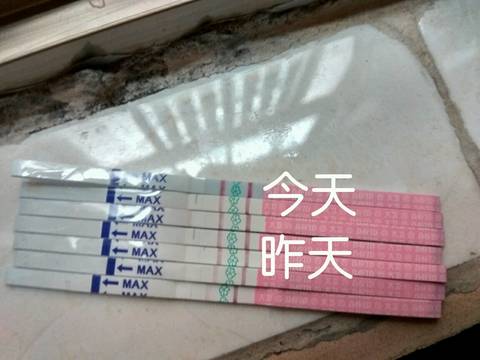 journal_insert_pic_644607208