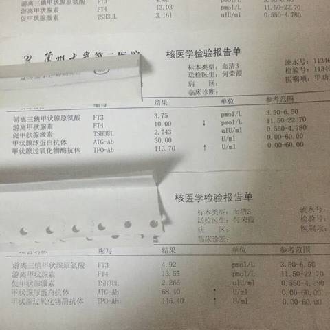 journal_insert_pic_646362442