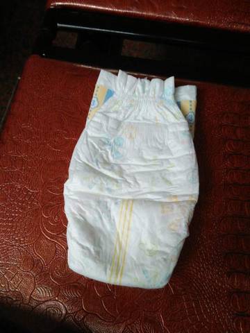 journal_insert_pic_646806226