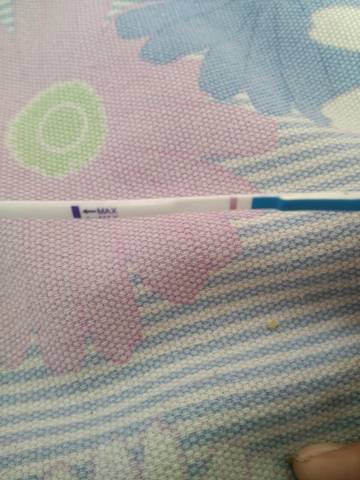 journal_insert_pic_646787326