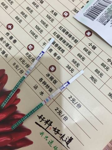 journal_insert_pic_647367591