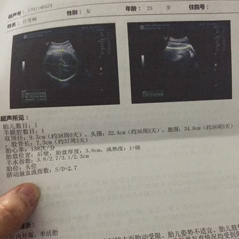 journal_insert_pic_647655745