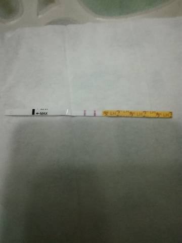 journal_insert_pic_648289242