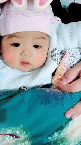 journal_insert_pic_649268619