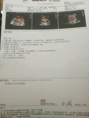 journal_insert_pic_649724622