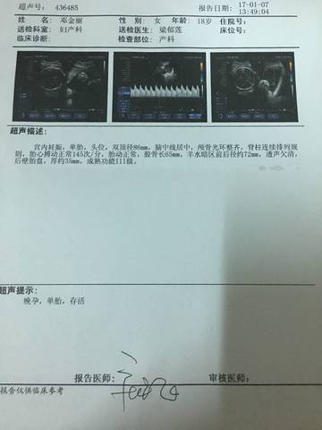 journal_insert_pic_650639528