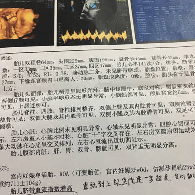 journal_insert_pic_650420891