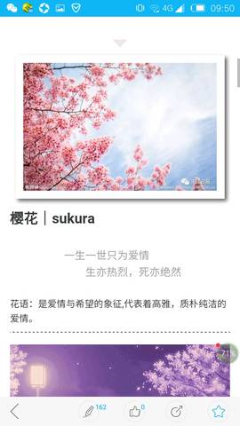 journal_insert_pic_651241309