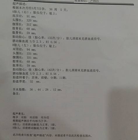 journal_insert_pic_651004716
