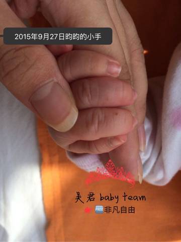 journal_insert_pic_651022552